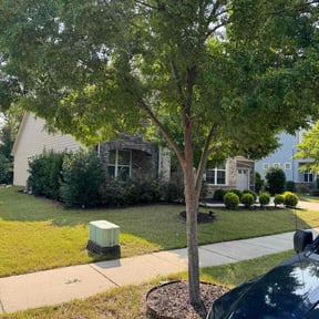 Tree Trimming by mark&#039;s lawncare reviewed on August 17, 2025