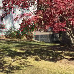 Leaf Removal by Type A Lawn Guy reviewed on December 13, 2025