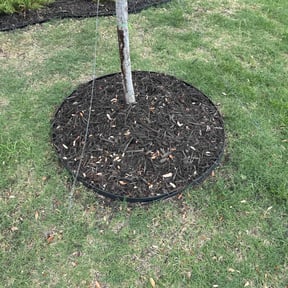 Flower Bed Weeding by Green Acres Landscaping and Construction LLC reviewed on August 16, 2025