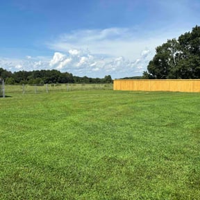 yard service by Adams Lawns &amp; More reviewed on April 20, 2023