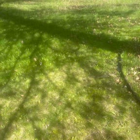 Leaf Removal by After-Hours Maintenance LLC reviewed on July 9, 2026