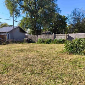 Bush Trimming by Sinaí Tree and Lawn Care Experts reviewed on April 18, 2024