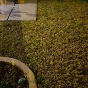 Leaf Removal by Marlawns reviewed on June 18, 2026