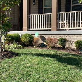 Bush Trimming by Jim's Lawn Service reviewed on August 19, 2025