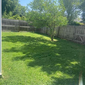 grass cutting by Yard TLC reviewed on September 21, 2023
