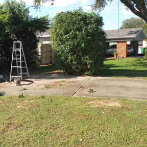 Bush Trimming by Texas lawn reviewed on August 16, 2025