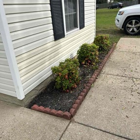 Bush Trimming by Danny’s Lawn Service  reviewed on November 25, 2025