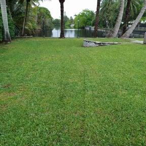 yard maintenance by Tico's landscaping service reviewed on November 18, 2025