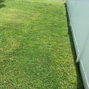 yard care by Nathan Massey reviewed on August 16, 2025