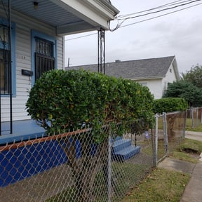 Bush Trimming by Dario’s Landscaping reviewed on August 15, 2025