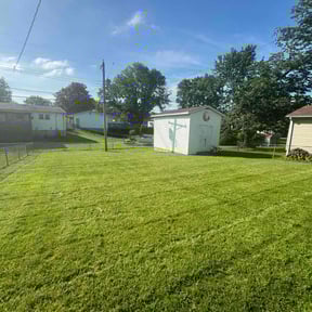 grass cutting by Dad's lawn care reviewed on July 30, 2025