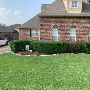 Bush Trimming by UnlimitedGroundCare. reviewed on April 20, 2024