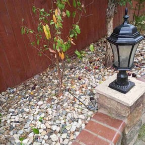 Flower Bed Weeding by Port City Mowing reviewed on June 9, 2026