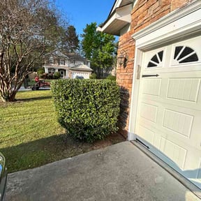 Bush Trimming by Marshallcaremgt@gmail.com reviewed on March 23, 2026