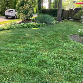 landscaping services by Logan & son contractors reviewed on September 27, 2025