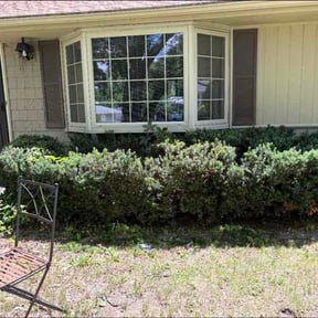 Bush Trimming by Leigh Outdoor Services LLC reviewed on June 19, 2026