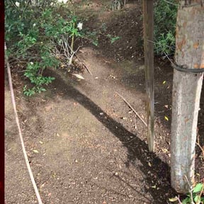 Flower Bed Weeding by Joesonthego reviewed on January 7, 2026