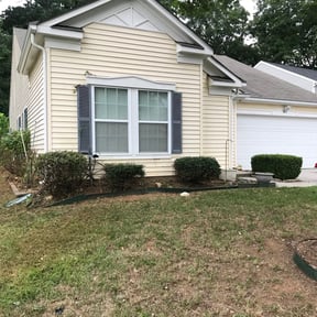 Bush Trimming by Mr G's HandyMan & Lawn pro.service reviewed on August 20, 2025