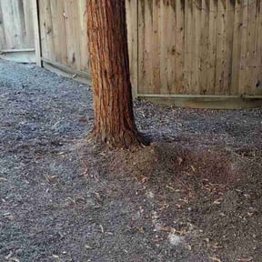 Leaf Removal by Lucky Lawns, LLC reviewed on November 5, 2025