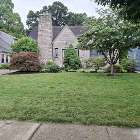 residential landscaping by Ocutandcompany reviewed on August 16, 2025