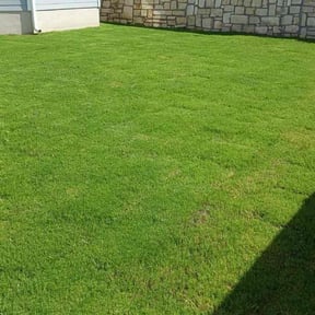 yard maintenance by C & T Lawn Service reviewed on August 17, 2025