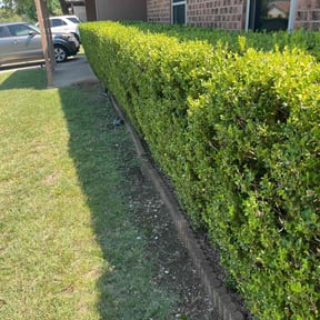 Bush Trimming by Landscape reviewed on December 4, 2025