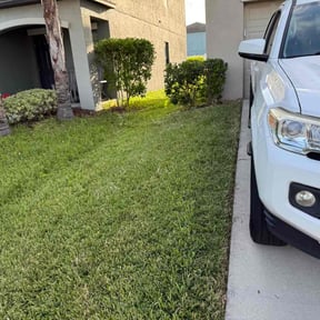 Bush Trimming by Clay Lawncare reviewed on November 24, 2025