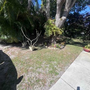 Leaf Removal by Turner Boys Lawn Service reviewed on September 16, 2026
