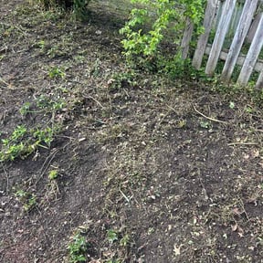 Flower Bed Weeding by Lawn for life reviewed on October 18, 2025