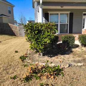 Bush Trimming by GC Lawn Care &amp; Landscaping Services reviewed on January 28, 2026