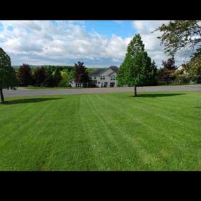 grass maintenance by Antonio Villasenor reviewed on May 15, 2024