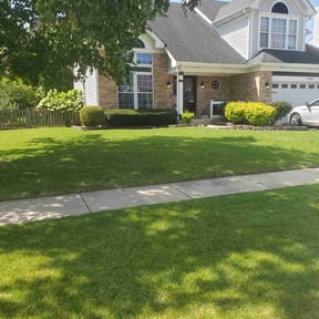 yard work by Kenosha Lawn Care reviewed on August 19, 2025
