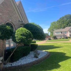 Bush Trimming by Grass and Garden LLC reviewed on August 18, 2025