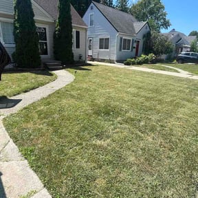 Bush Trimming by Rosies Lawn Care reviewed on August 4, 2026