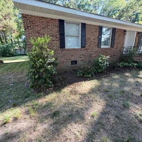 Bush Trimming by TruGreen LawnCare reviewed on May 25, 2026
