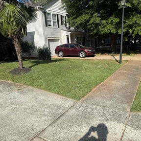 yard work by Foley lawn care reviewed on August 20, 2025