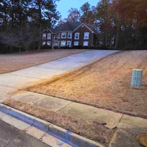 Leaf Removal by ERAZO reviewed on November 23, 2025