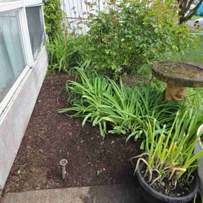 Flower Bed Weeding by Green thumb landscaping LLC reviewed on April 16, 2026