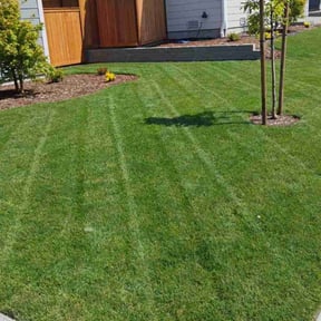 landscaping by Konceptz by Kay reviewed on October 19, 2025