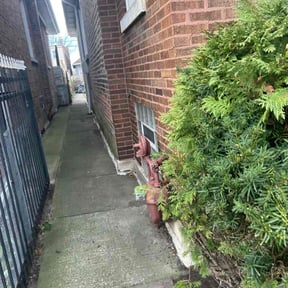 Leaf Removal by Semper fi landscaping reviewed on August 17, 2025
