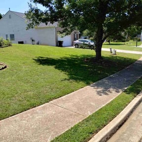 turf maintenance by No Time Wasted reviewed on August 15, 2025