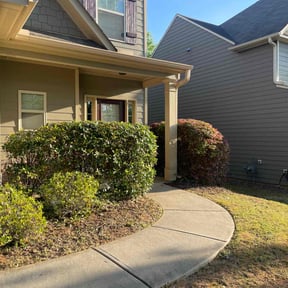 Bush Trimming by R+Care Lawn Services reviewed on August 17, 2025