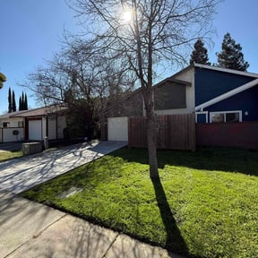 lawn care services by Diego Mojica Lawn Care reviewed on May 21, 2024