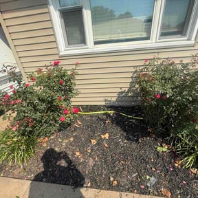 Flower Bed Weeding by Rodney 's lawncare reviewed on September 17, 2026
