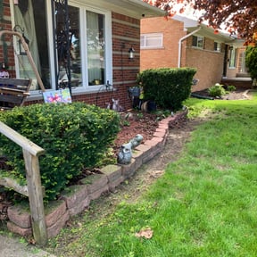 Bush Trimming by Top Notch Lawn Care& MAINTENCE reviewed on August 20, 2025