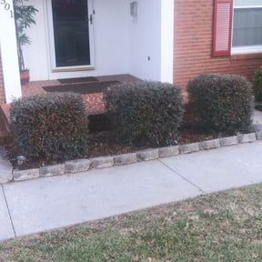 Bush Trimming by Legendary Lawnz reviewed on August 19, 2025