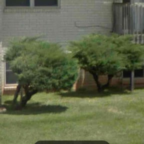 Bush Trimming by Tropicare Landscape and Maintenance reviewed on May 24, 2023