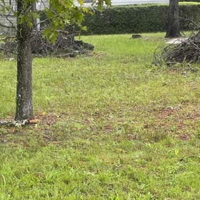 Bush Trimming by BNK Home Improvements &amp; Landscaping LLC reviewed on October 22, 2025