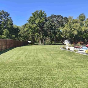 landscape maintenance by DONIT4U Landscaping reviewed on August 17, 2025