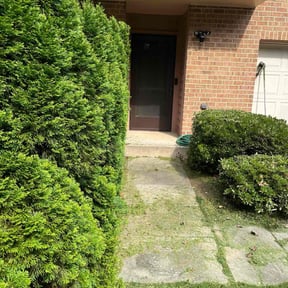 Bush Trimming by Lawn pro reviewed on June 13, 2026